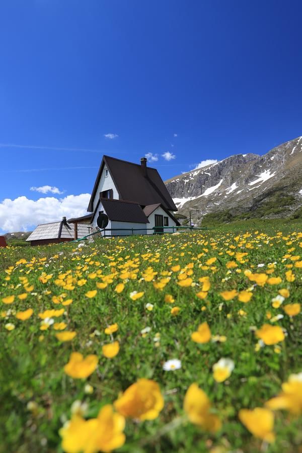 Шале Agape House Жабляк-27