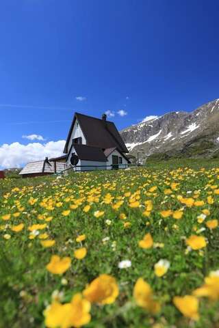 Шале Agape House Жабляк Шале-46