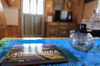 Шале Agape House Жабляк Шале-7