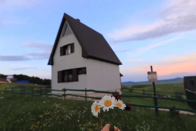 Шале Agape House Жабляк-59